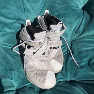 Lebron James Special Addition Shoes